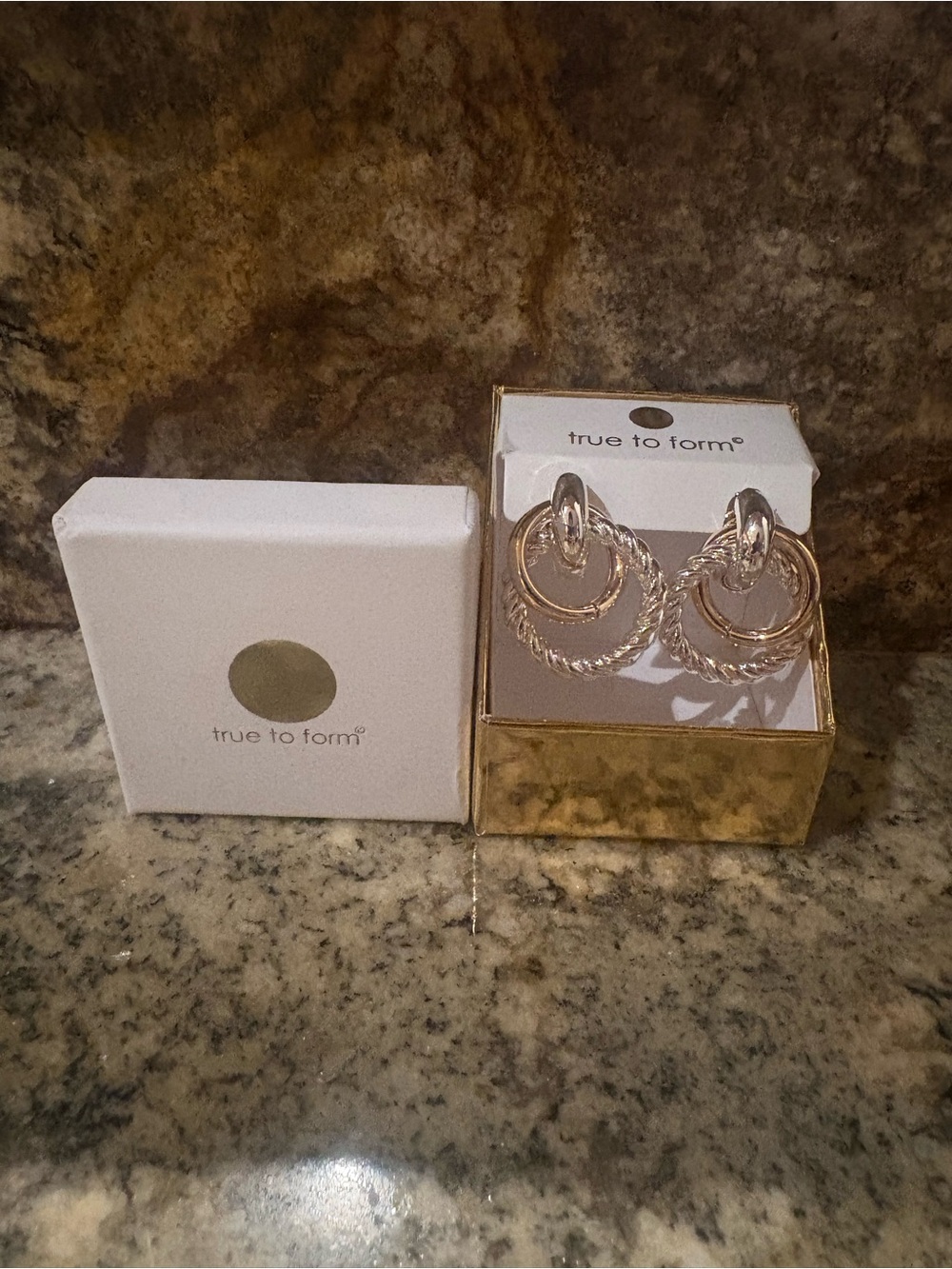 NEW True to Form Two Tone Earrings